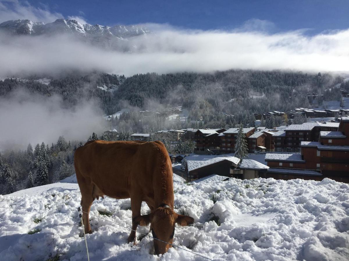 Le Mazot Chalet Lucie Apartment Valmorel Exterior foto